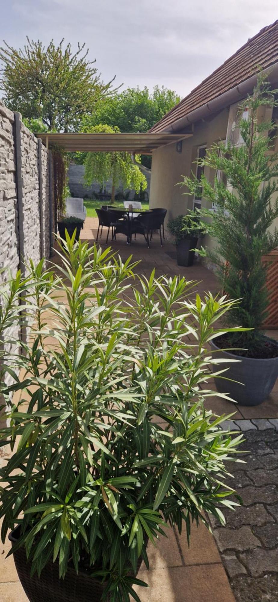 Tamasi Villa- Nyaralohaz Balatonkeresztúr Exterior foto